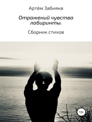 cover image of Отражений чувства лабиринты. Сборник стихов